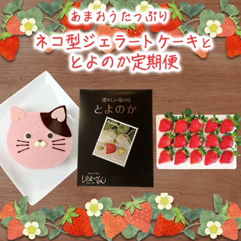 いちご ジェラートケーキ とよのか 白木のいちご いちご【1箱 化粧箱入り】【定期便 全2回】