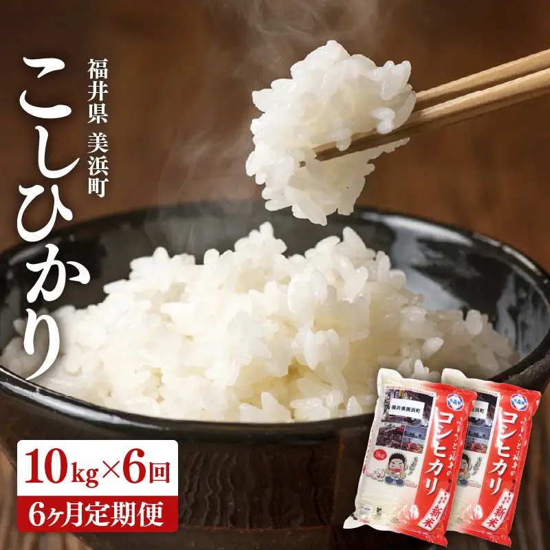 【先行予約】【令和8年産・新米】 定期便 ≪6ヶ月連続お届け≫ 米 コシヒカリ 10kg × 6回 （計60kg）精米 福井県美浜町産 【2026年10月下旬より順次発送】 [m60-k002]