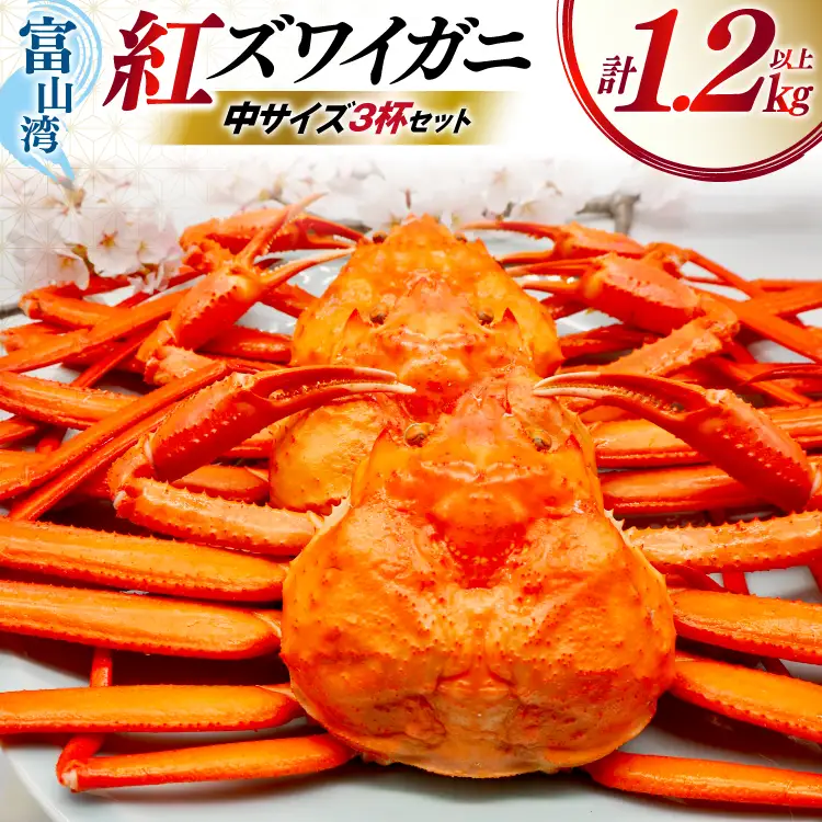 カニ ベニズワイ 冷凍便 中サイズ 3杯 総計1.2kg以上