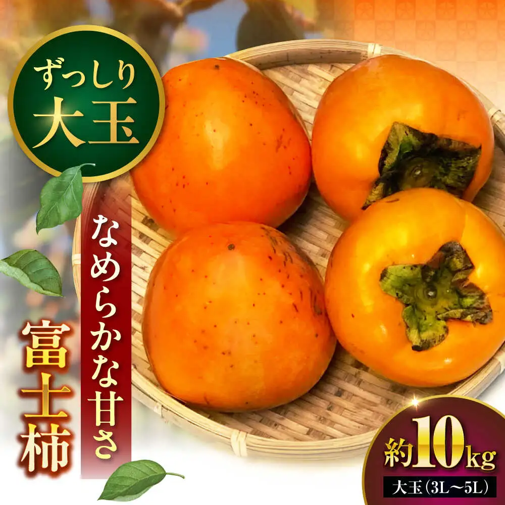富士柿 10kg  柿 かき 種なし[AGAR016]