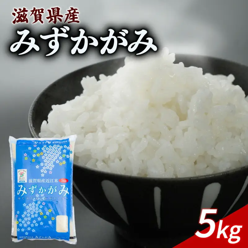みずかがみ 5kg ミズカガミ お米 (令和7年産)
