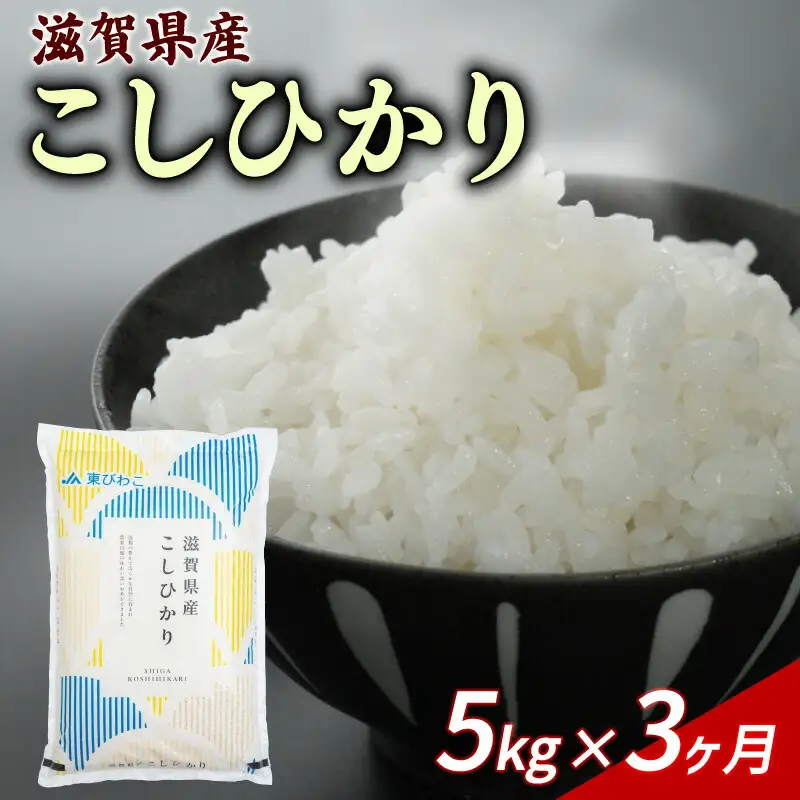 【3ヶ月定期便】こしひかり 5kg 令和7年産 コシヒカリ 定期便 お米 【米 定期便】