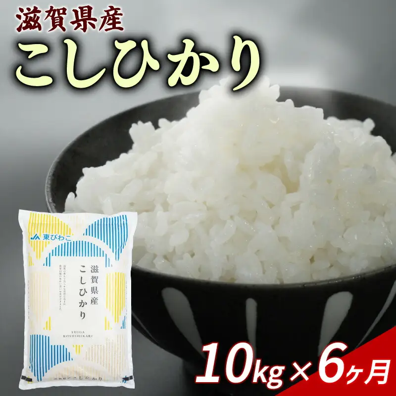 【6ヶ月定期便】こしひかり 10kg 令和7年産 コシヒカリ 定期便 お米 米