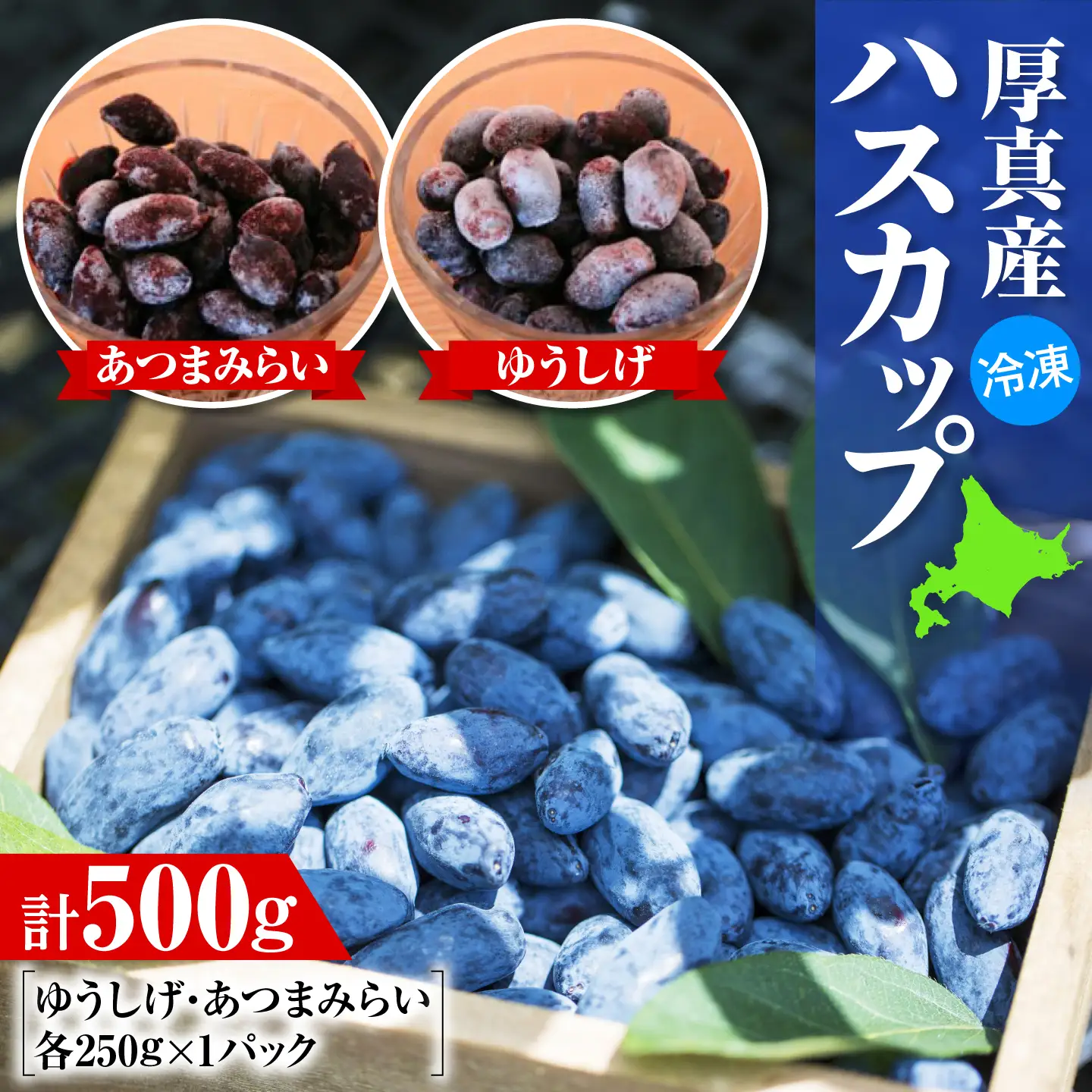 冷凍 ハスカップ 計500g [AXAB085] ハスカップ