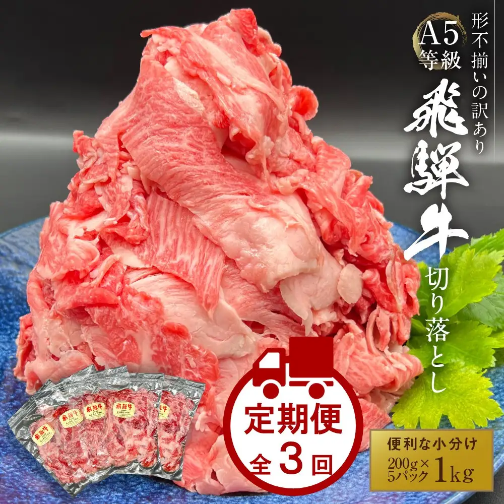 A5飛騨牛 定期便 3回 切り落とし 1kg | 定期便 HF115