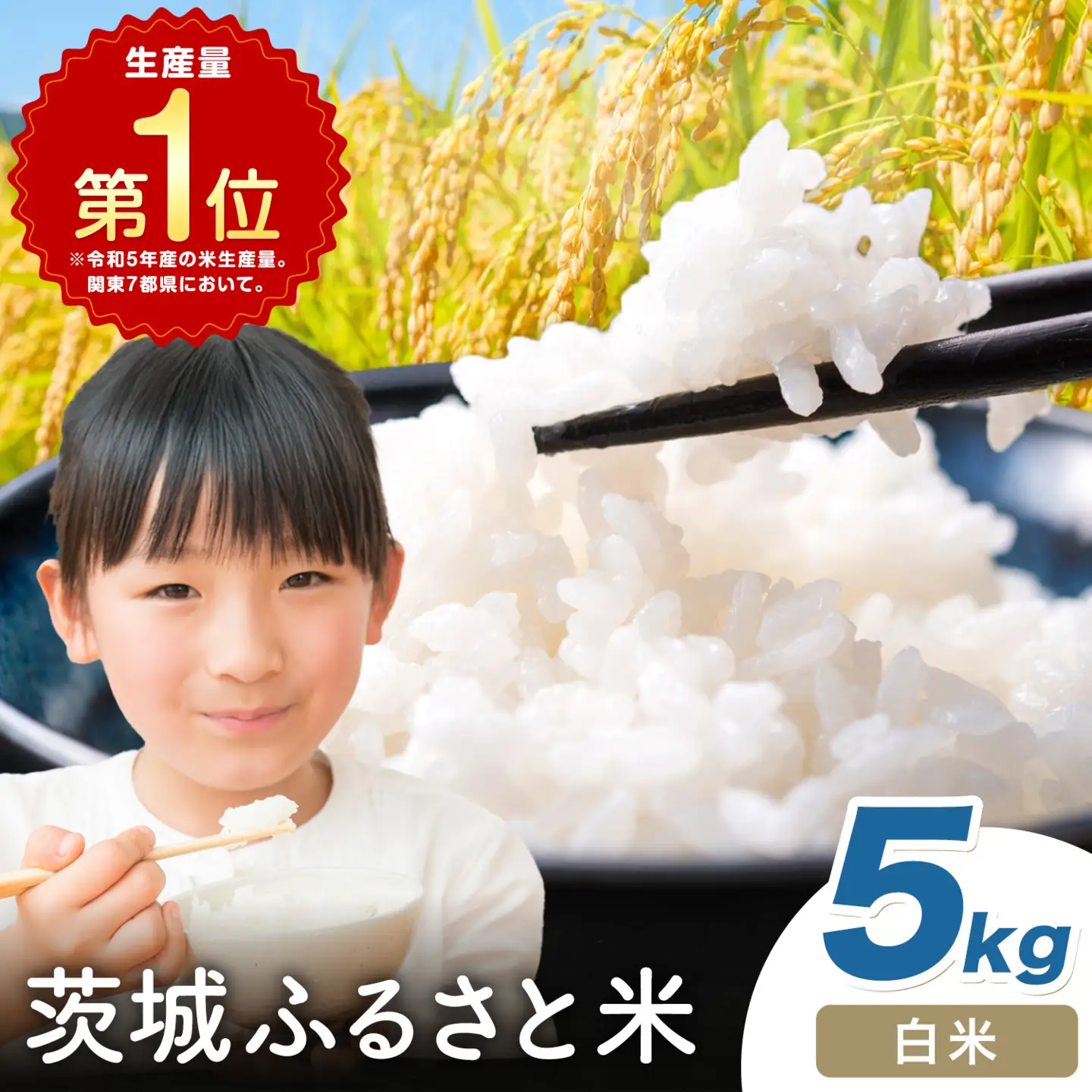 米 茨城ふるさと米 白米 5kg 訳あり ご家庭用
