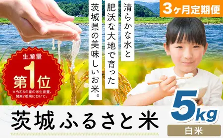 【3か月定期便】茨城ふるさと米 5kg 米