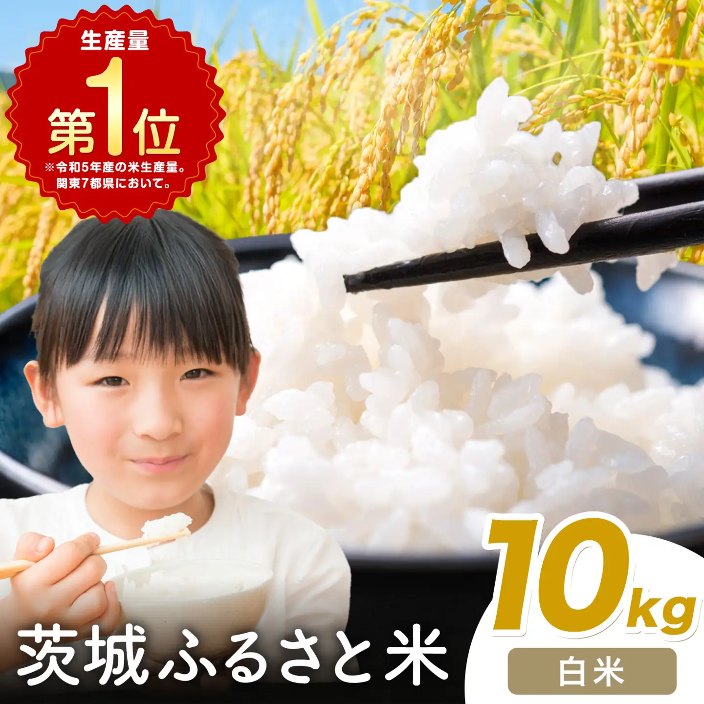 米 茨城 ふるさと米 白米 10kg《1-5日以内に出荷予定(土日祝除く)》