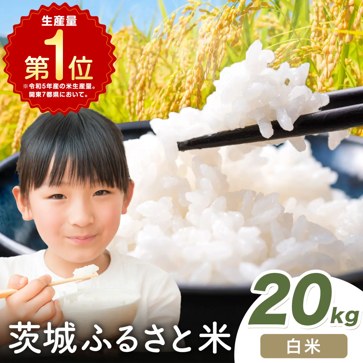 米 茨城 ふるさと米 白米 20kg《1-5日以内に出荷予定(土日祝除く)》 