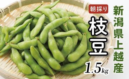 枝豆 朝採り 産地から採った当日発送! 採れたて 1.5kg 新潟 上越 選べる容量 高田圃場 上越市 えだまめ えだ豆