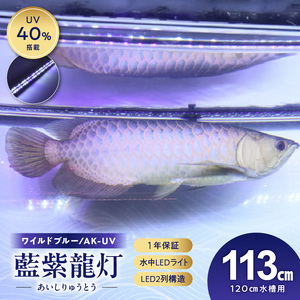 スリム&高耐久!金龍を美しく、UV-Aチップ配合の水中LED|AK-120UV-EX 藍底 金龍 ワイルドブルー 照射 水中 アロワナ UVチップ 水槽ライト テンニングライト LED ライト 照明 水中照明 光 綺麗 強化ガラス 1年保証 簡単 防水 吸盤 設置 でんらい インテリア 雑貨 愛知県 小牧市 送料無料 [172C15]