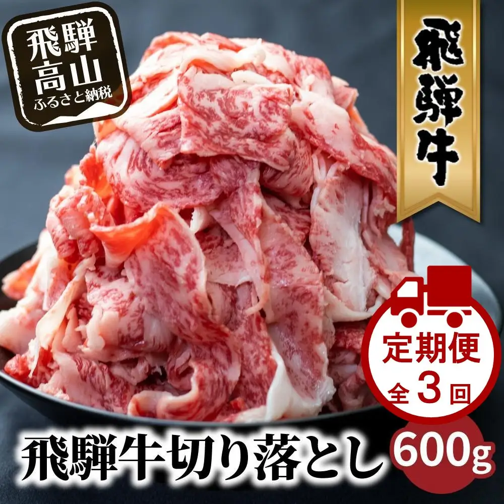 【定期便全3回】飛騨牛 訳あり 切り落とし 600g 定期便 LR104