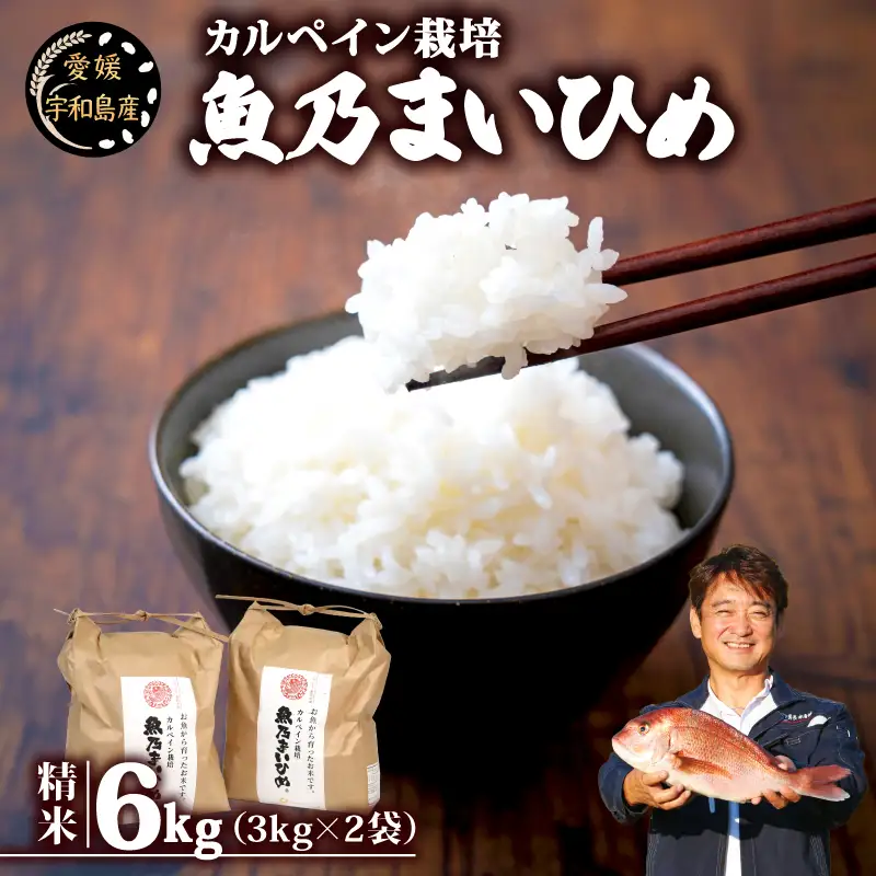 令和8年産 新米 コシヒカリ 魚乃まいひめ 6kg 精米 秀長水産 コシヒカリ G020-016010