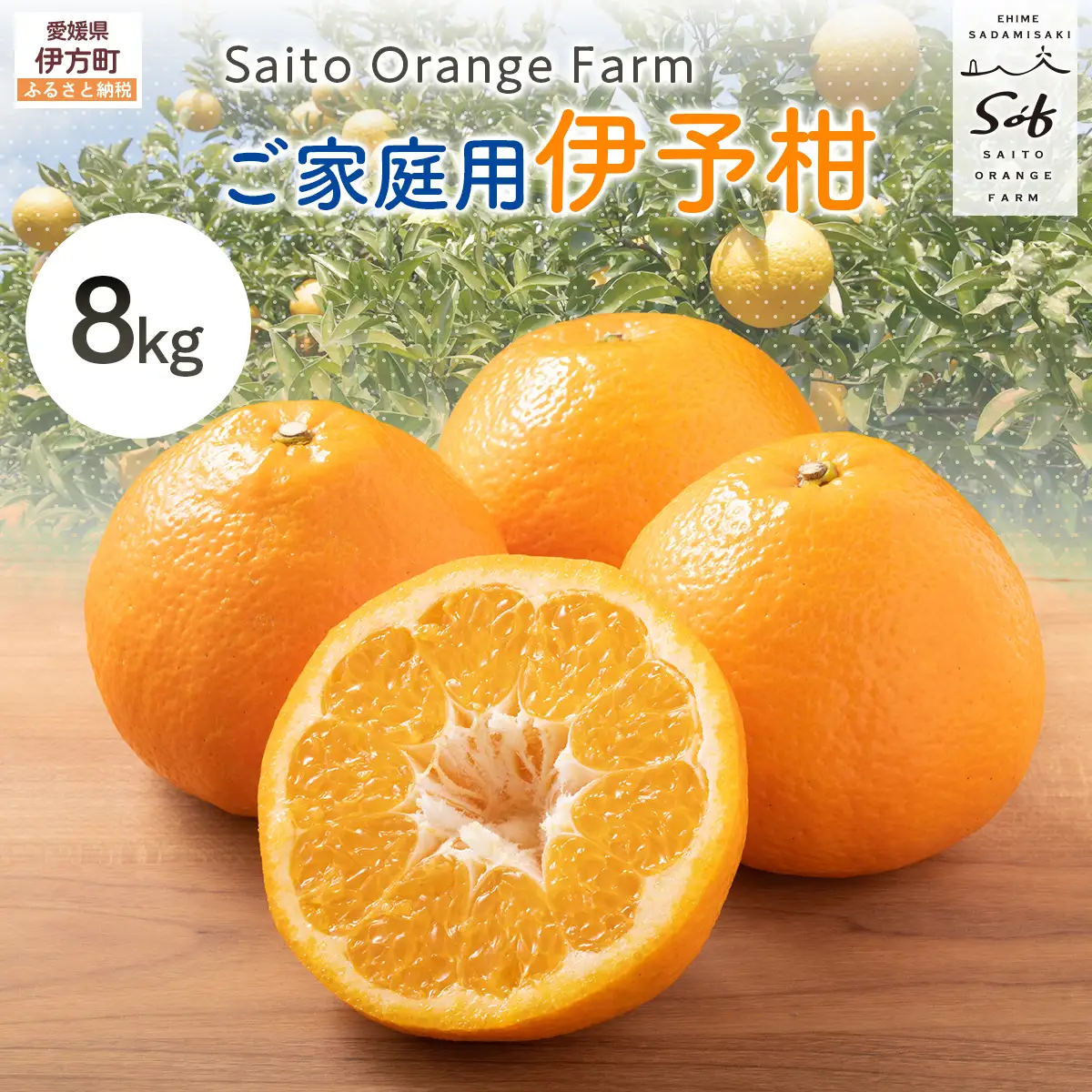 【先行予約】Saito Orange Farm ご家庭用 伊予柑8kg （2027年1月中旬頃より順次発送予定）IKTAQ028