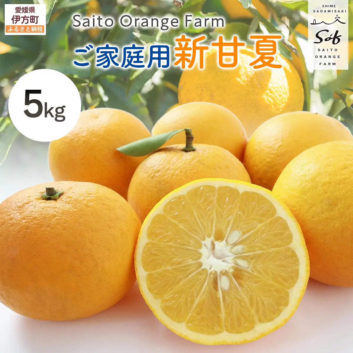 【先行予約】Saito Orange Farm ご家庭用 新甘夏5kg （2027年3月下旬頃より順次発送予定））IKTAQ029