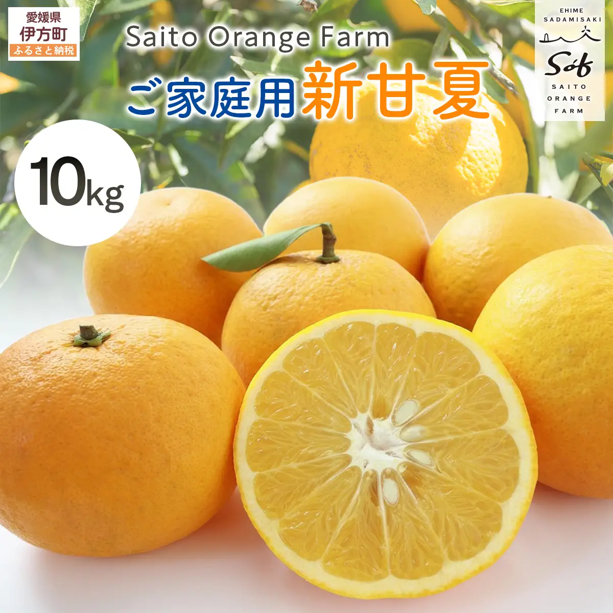 【先行予約】Saito Orange Farm ご家庭用 新甘夏10kg （2027年3月下旬頃より順次発送予定））IKTAQ030