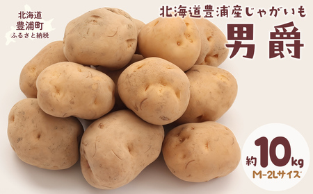 【先行予約】北海道豊浦産じゃがいも 男爵 約10kg M-2Lサイズ 【2026年9月下旬～10月下旬発送】 野菜 じゃがいも 芋 ポテト ジャガイモ ポテサラ ポテトサラダ 国産 北海道 豊浦町
