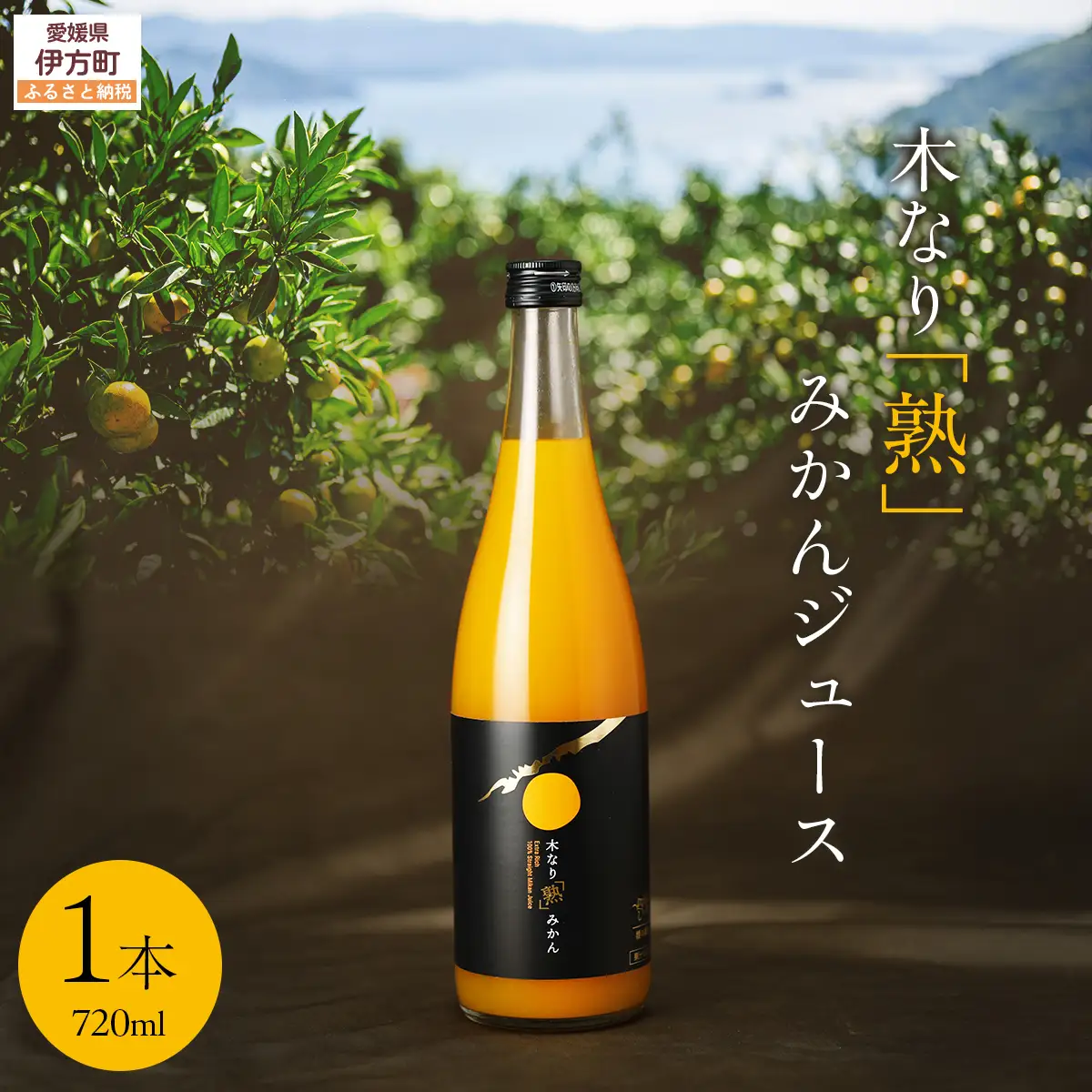 木なり「熟」みかんジュース（720ml×1本） IKTE009