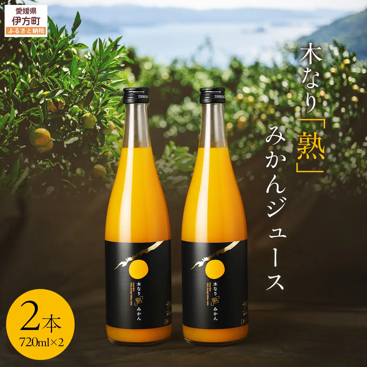 木なり「熟」みかんジュース（720ml×2本）　IKTE010