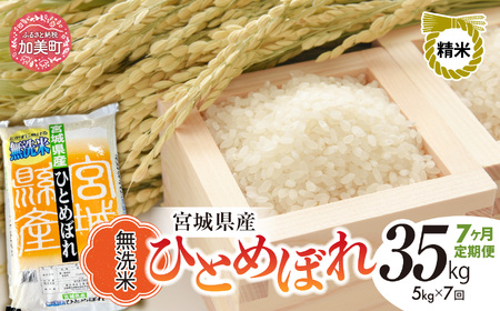 宮城県産ひとめぼれ無洗米 5kg×7回定期便 ひとめぼれ