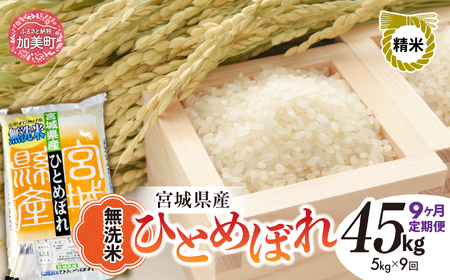 宮城県産ひとめぼれ 無洗米 5kg×9回定期便 ひとめぼれ