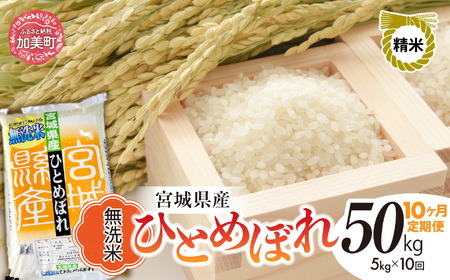 宮城県産 ひとめぼれ無洗米 5kg×10回定期便 ひとめぼれ