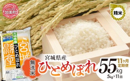 令和8年産 ひとめぼれ無洗米 5kg×11回定期便 無洗