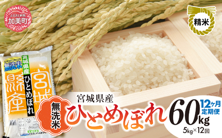 令和8年産ひとめぼれ 無洗米 5kg×12回定期便 ひとめぼれ
