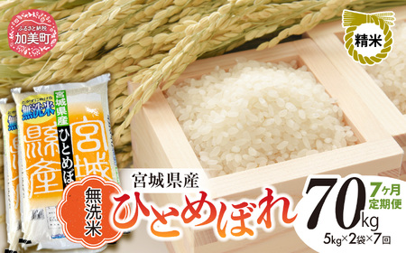 令和8年産 ひとめぼれ無洗米 10kg×7回定期便 ひとめぼれ
