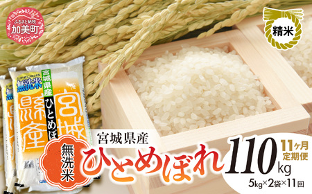 宮城県産ひとめぼれ 無洗米 10kg×11回定期便 ひとめぼれ