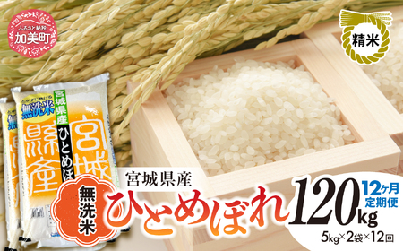 令和8年産ひとめぼれ 無洗米 10kg×12回定期便 ひとめぼれ
