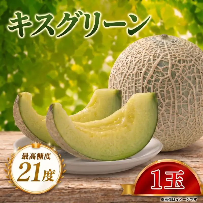 先行予約】 メロン 2027 発送 最高糖度21度！奇跡のキスグリーンメロン