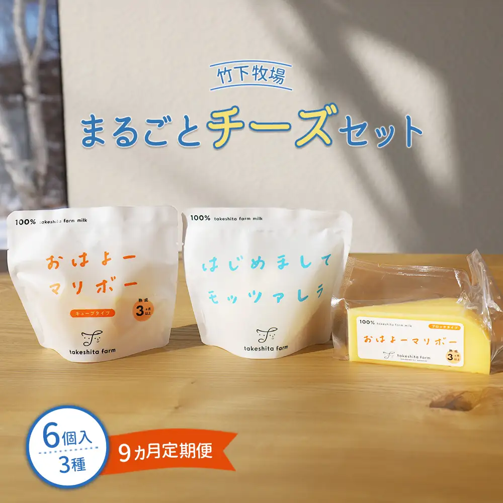 竹下牧場 takeshita farm【定期便9ヶ月】まるごとチーズセット 計560g【2402401】