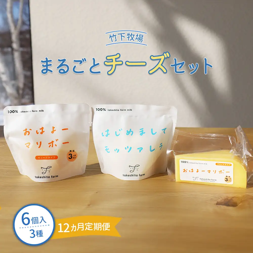 竹下牧場 takeshita farm【定期便12ヶ月】まるごとチーズセット 計560g【2402501】