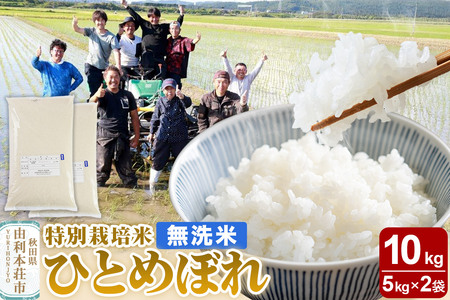 【無洗米】秋田県由利本荘市産 特別栽培米 ひとめぼれ 10kg（5kg×2袋）令和7年産