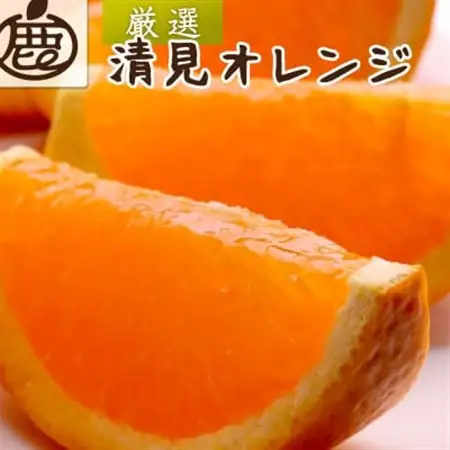 厳選 清見5kg+250g(傷み補償分)【光センサー選果】【樹上完熟きよみオレンジ】【配送不可地域：離島・北海道・沖縄県】【1649745】