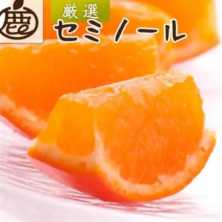 厳選 セミノールオレンジ1kg+250g(傷み補償分)【春みかん】【有田産】【光センサー食べ頃出荷】【配送不可地域：離島・北海道・沖縄県】【1651239】
