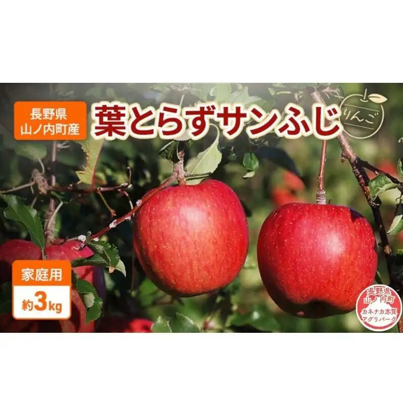 りんご 先行予約 家庭用 葉とらず サンふじ 3kg りんご