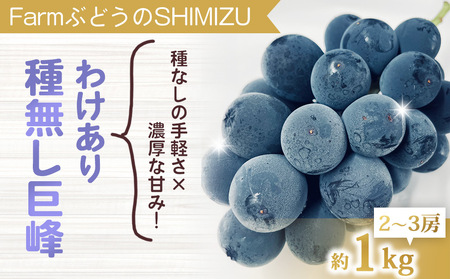 【先行受付2026年発送】わけあり種無し巨峰約1kg（2～3房）｜清水農園　※2026年9月上旬以降発送予定※月曜日、金曜日の発送はお休み 