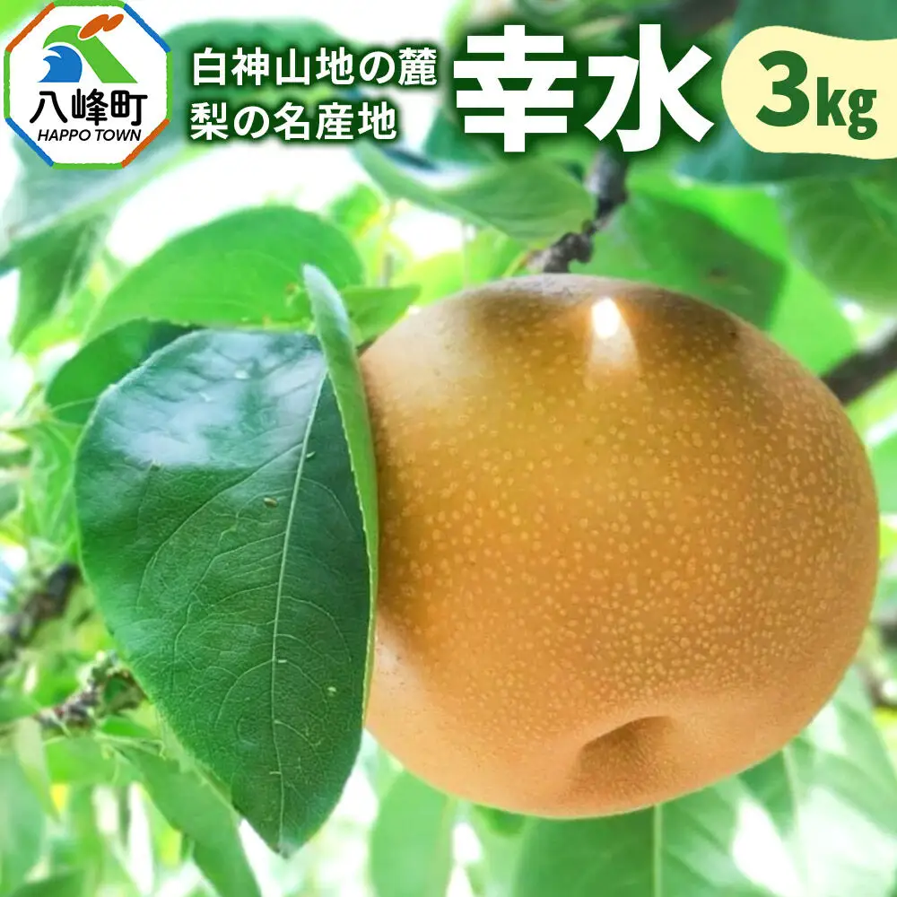 【9月発送 先行受付】梨 幸水 3kg 白神山地の麓 峰浜の梨 笠原果樹園