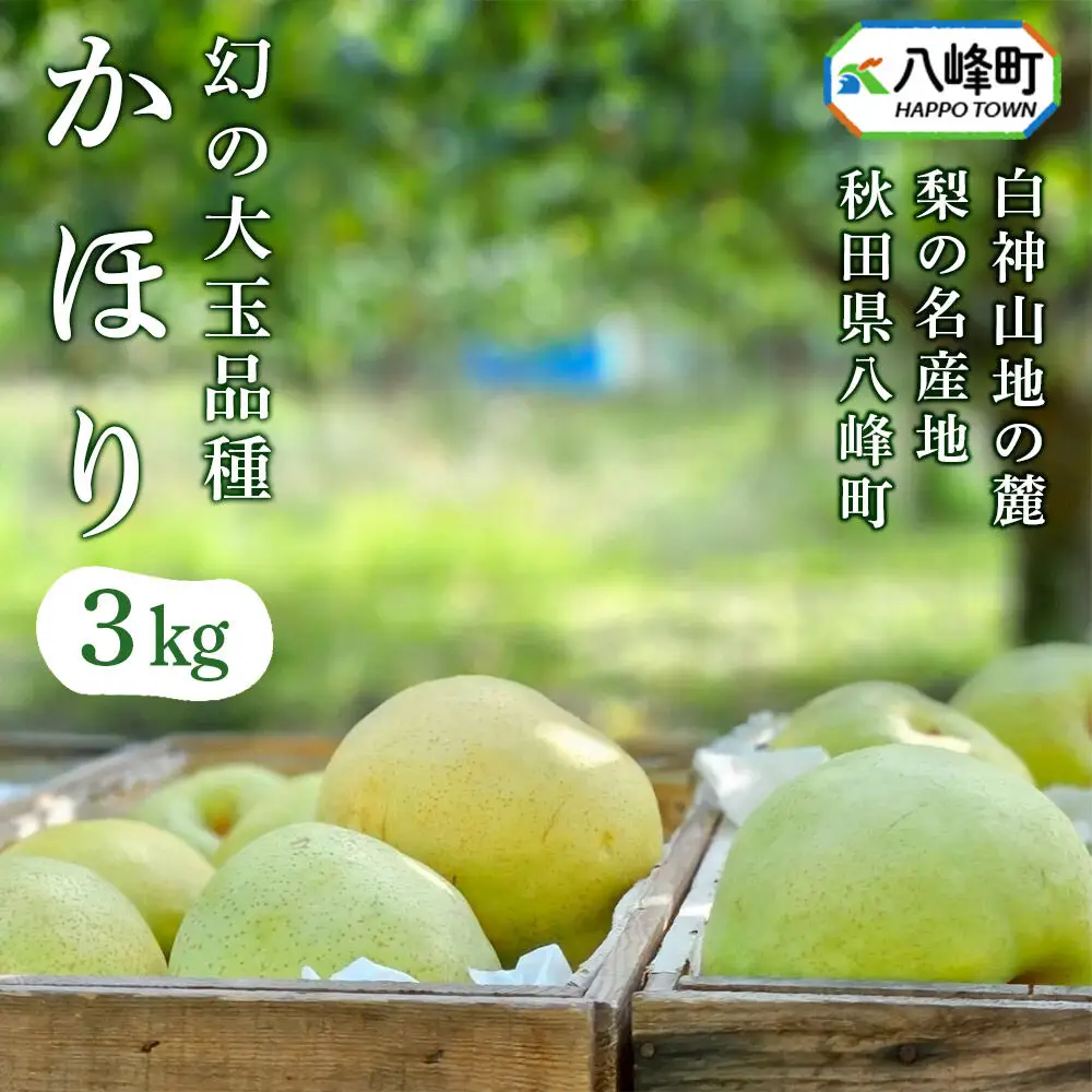 【10月発送 先行受付】梨 かほり 3kg 白神山地の麓 峰浜の梨 笠原果樹園