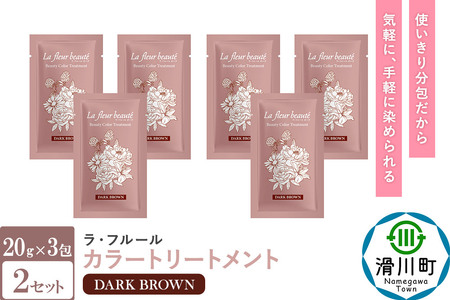 ラフルールカラートリートメントDB 20ｇ×3包 2セット