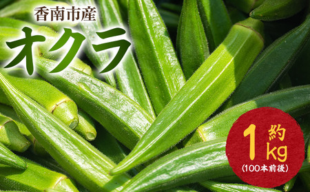 【2026年発送分】オクラ 1kg 〈100本前後〉 新鮮 オクラ 野菜 on-0032