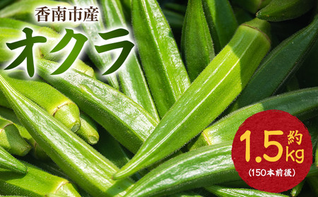【2026年発送分】オクラ1.5kg 〈150本前後〉 新鮮 オクラ 野菜 on-0033
