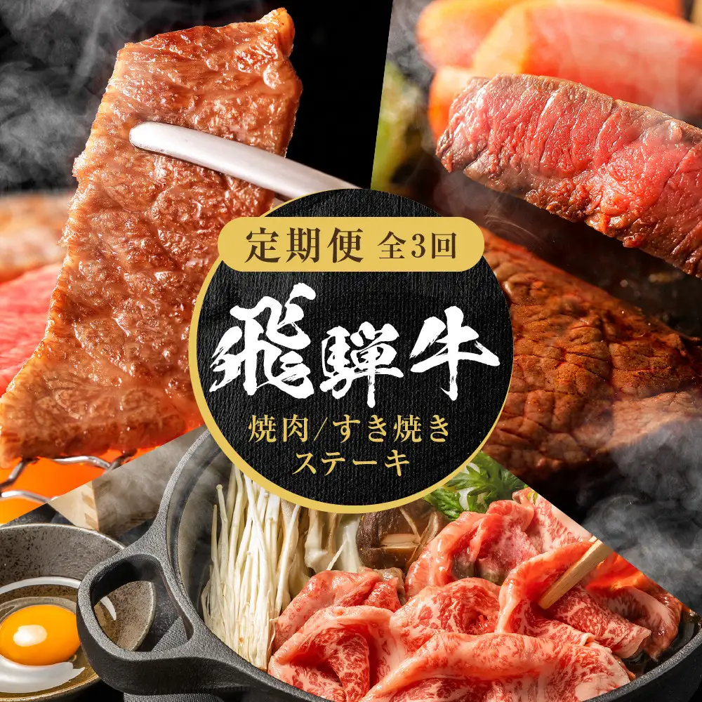 【定期便】全3回 飛騨牛 赤身（ステーキ /焼肉 / すき焼き） | 赤身 MZ103