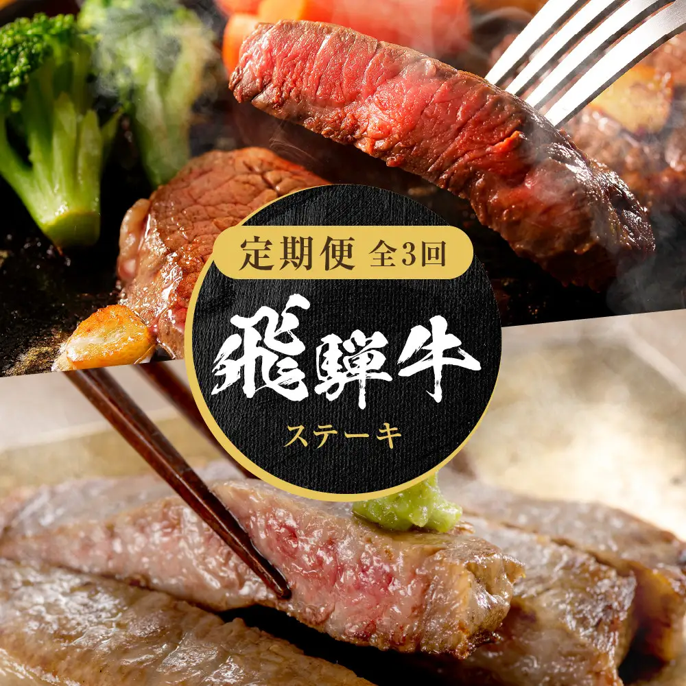 【定期便】全3回 飛騨牛 ステーキ | 定期便 MZ107