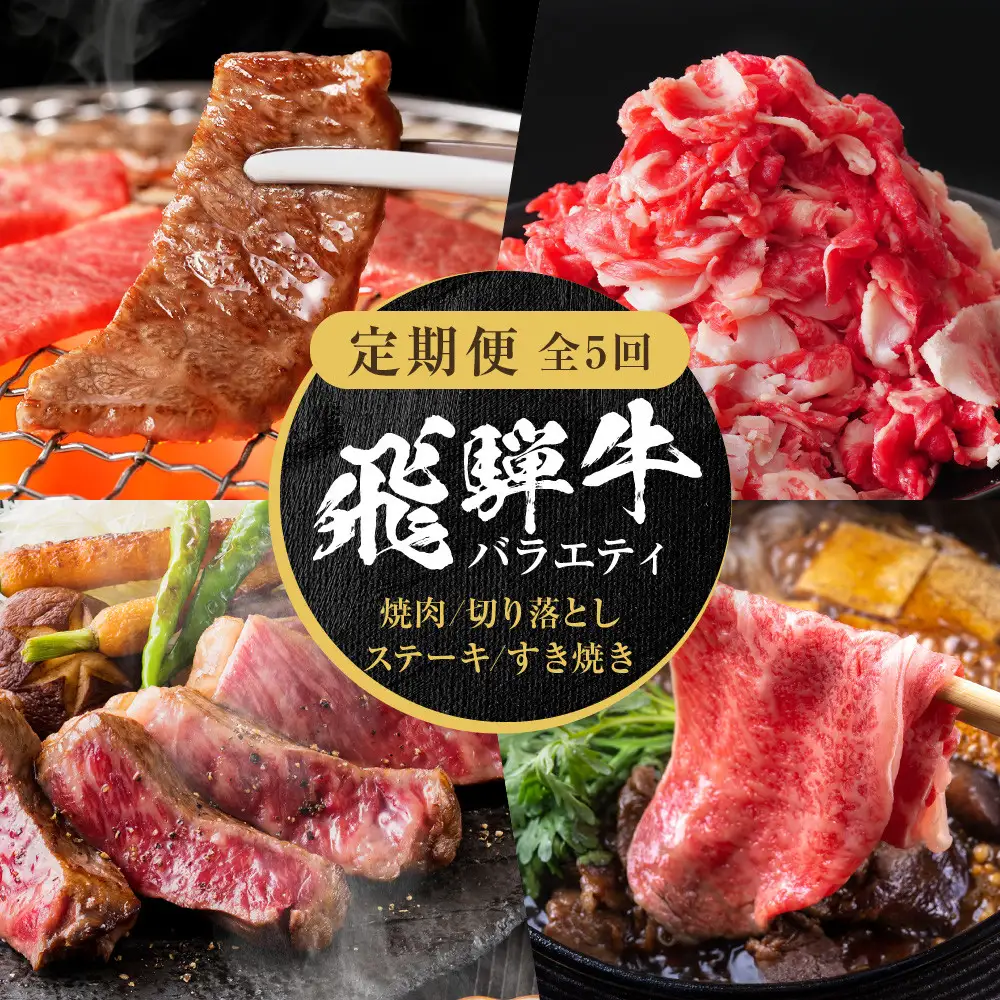 【定期便】全5回 飛騨牛 バラエティ（ステーキ /焼肉 / すき焼き/切り落とし） | 定期便 MZ104
