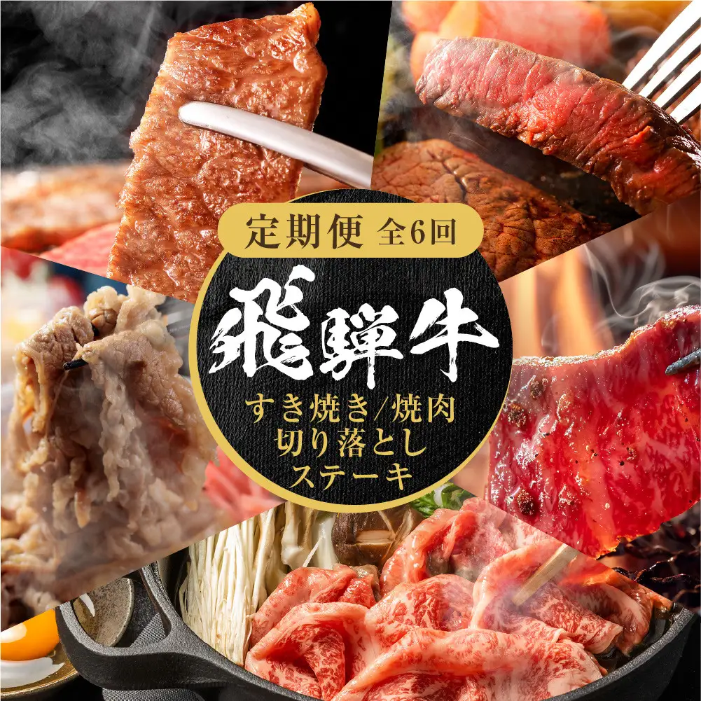 【定期便】全6回 飛騨牛 バラエティ（ステーキ /焼肉 / すき焼き/切り落とし） | 定期便 MZ105