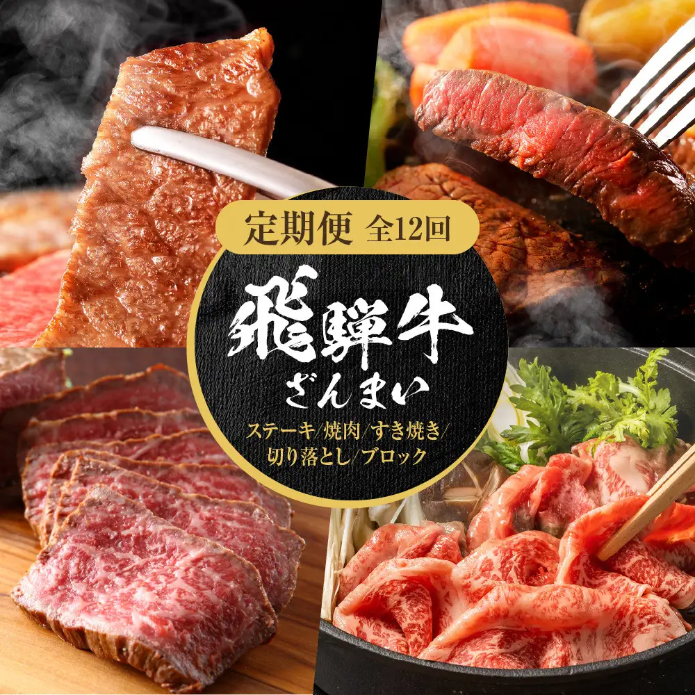 【定期便】全12回 飛騨牛 ざんまい(ステーキ/焼肉/すき焼き/切り落とし/ブロック) | 定期便 MZ106