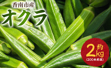 【2026年発送分】オクラ 2kg 〈200本前後〉 新鮮 オクラ 野菜 on-0034